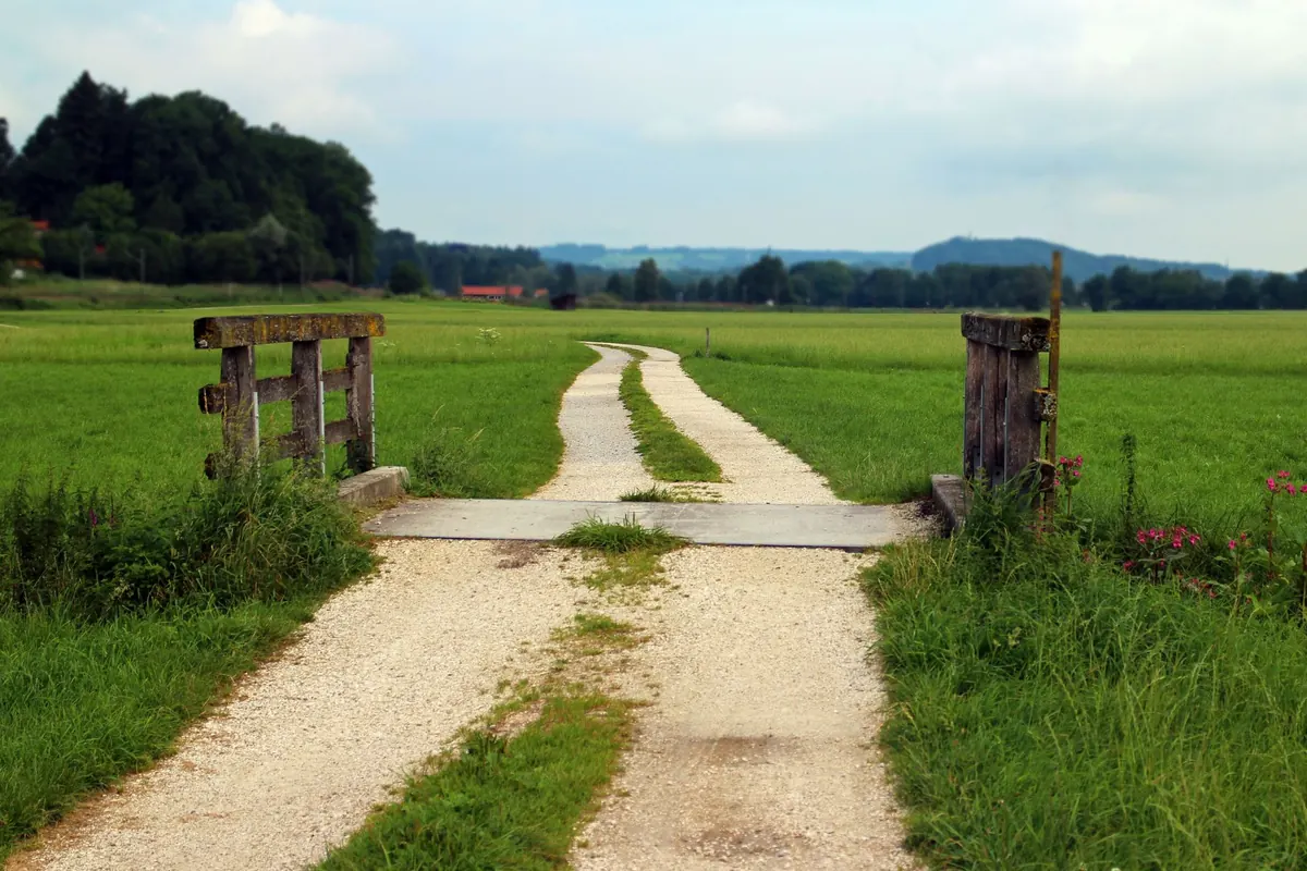 Common Mistakes on Cornish Country Lanes: Narrow Roads, Passing Places, and Tourists