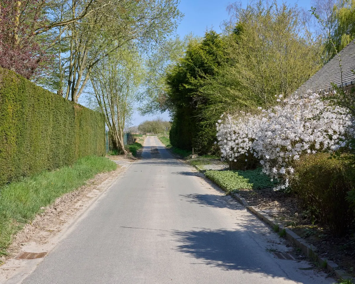 Driving the Lizard Peninsula: A Scenic Loop for Weekend Explorers